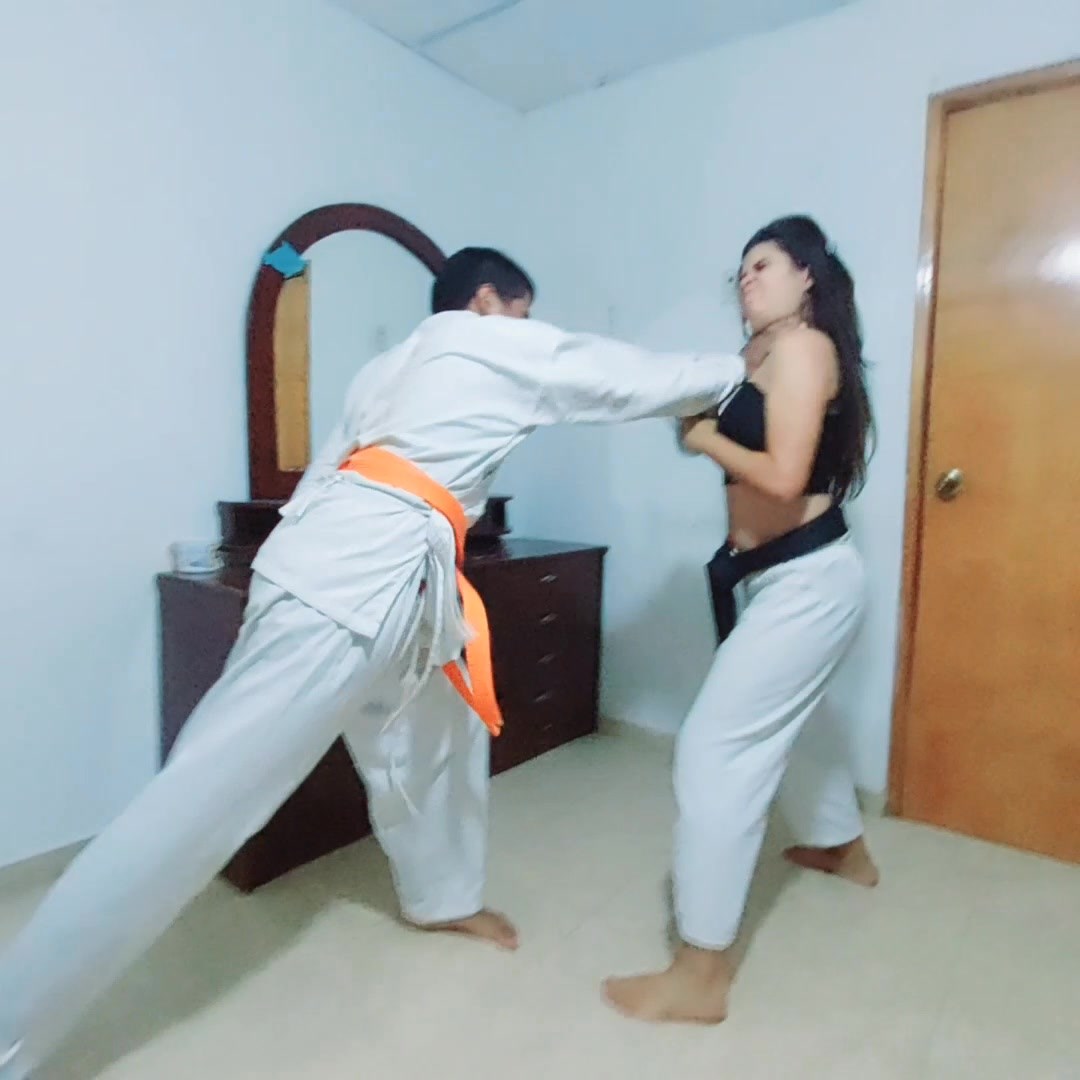 Pamela Taekwondo Ballbusting
